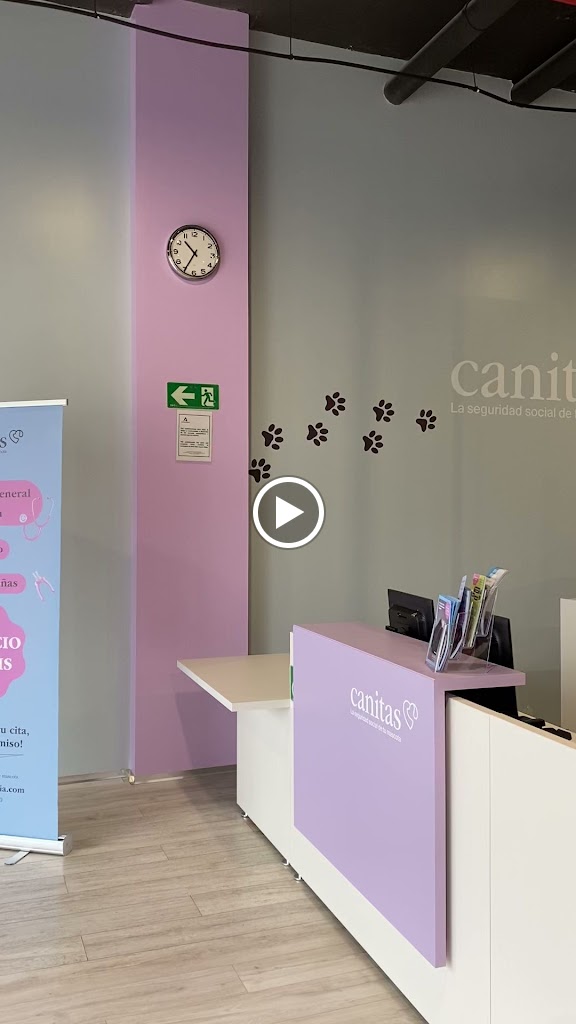 Canitas Veterinaria Sevilla - Dos Hermanas CC Way — Videos