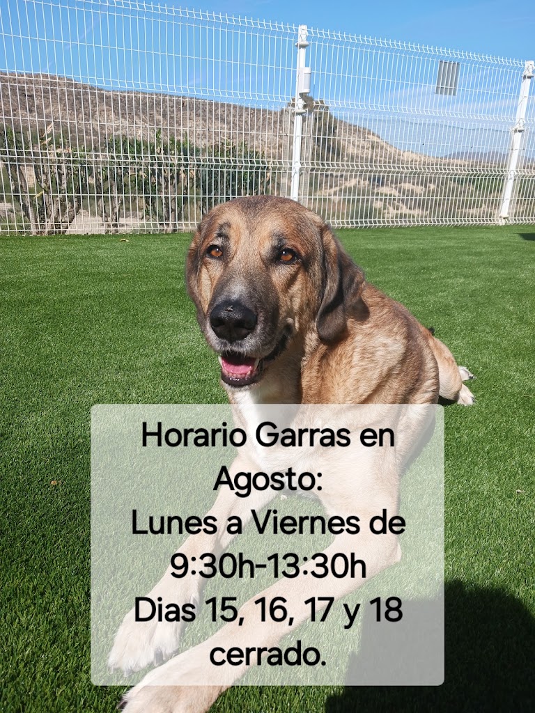 CENTRO VETERINARIO GARRAS