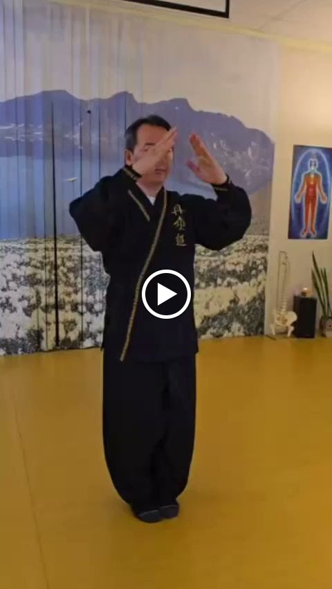  Body & Brain Yoga Tai Chi