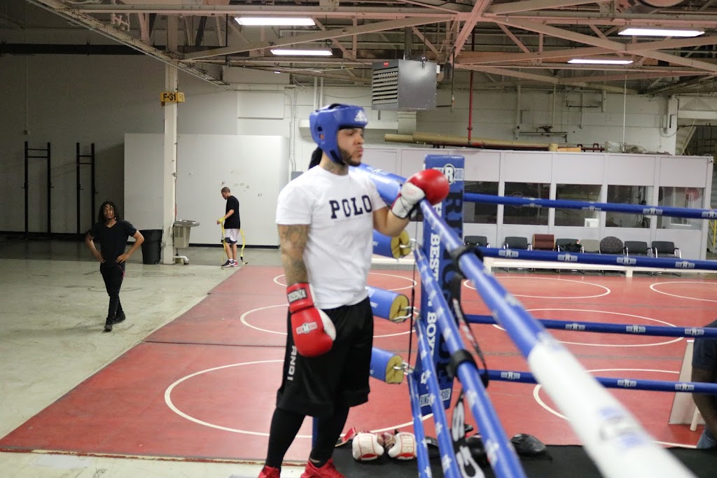  Nasty Knuckles boxing