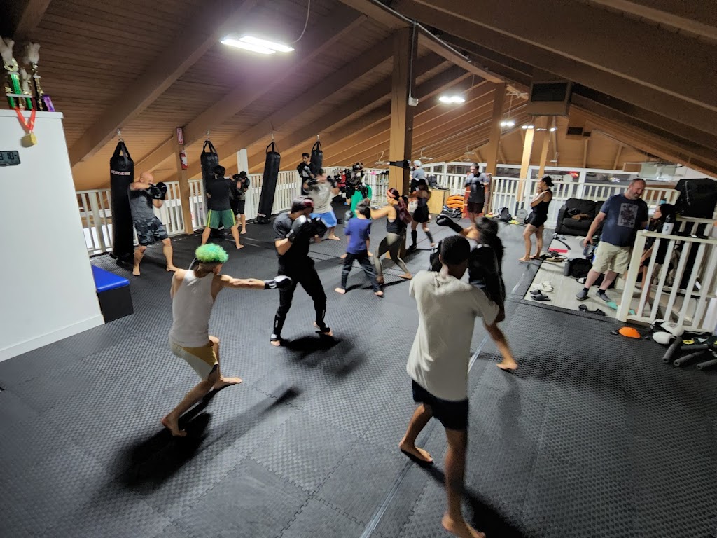  Vital Force Muay Thai & MMA