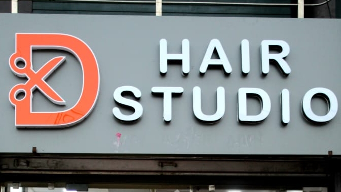D Hair Studio