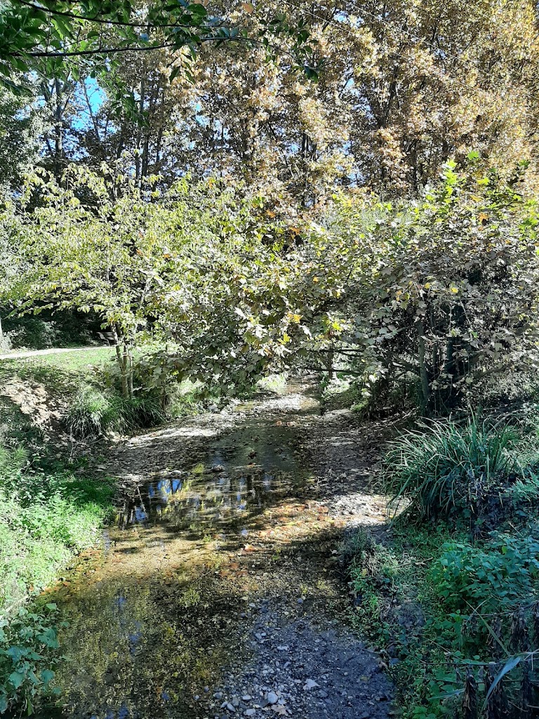 Parque de Can Barra- Sant Quirze del valles