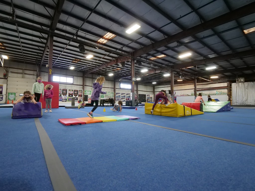  Iconic AllStars Royal Empire