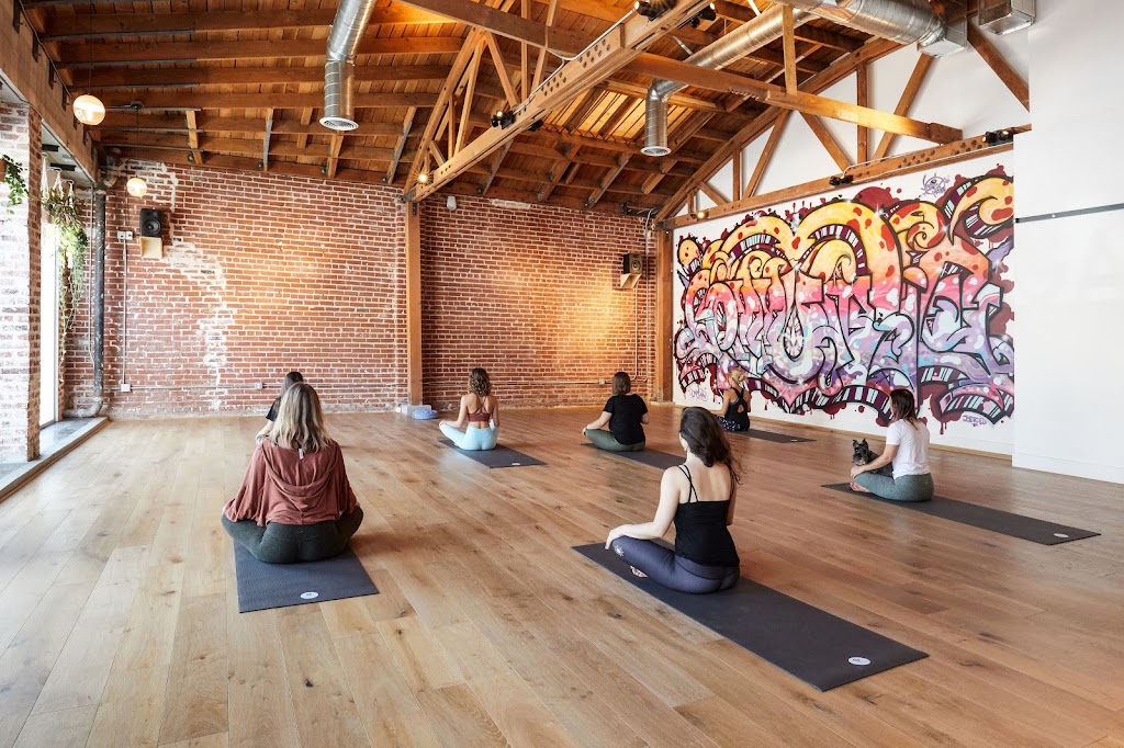 One Down Dog | Yoga + Fitness Studio