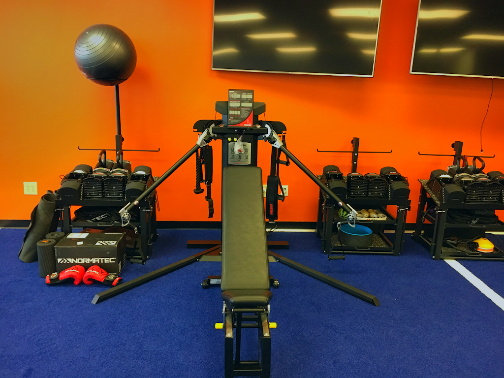  Bell's Life Enhancement