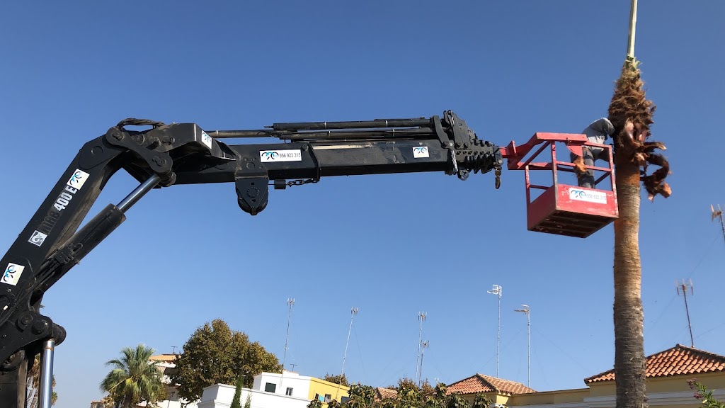 camiones grua Mogrudi Suminstros