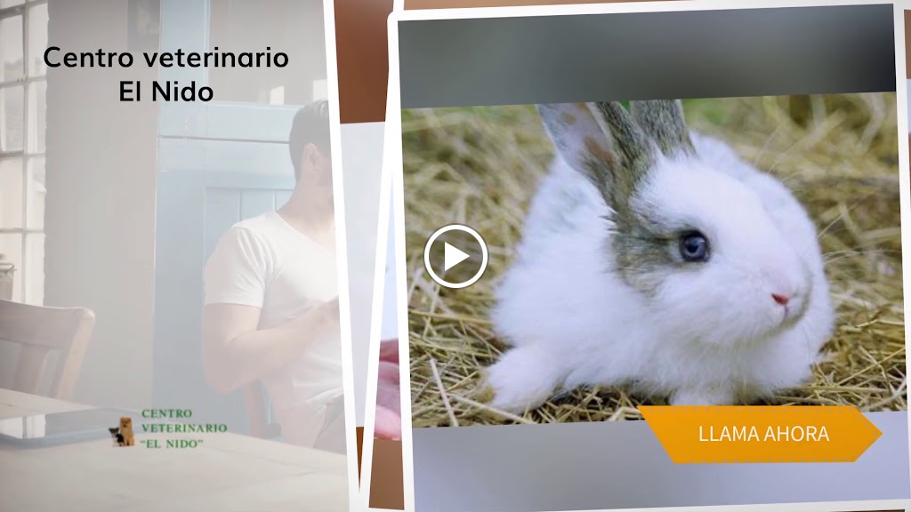 centro veterinario El Nido — Videos