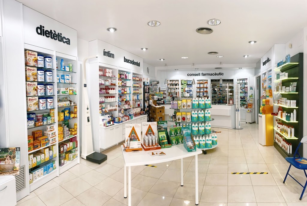 Mercedes Torrent Cardelus