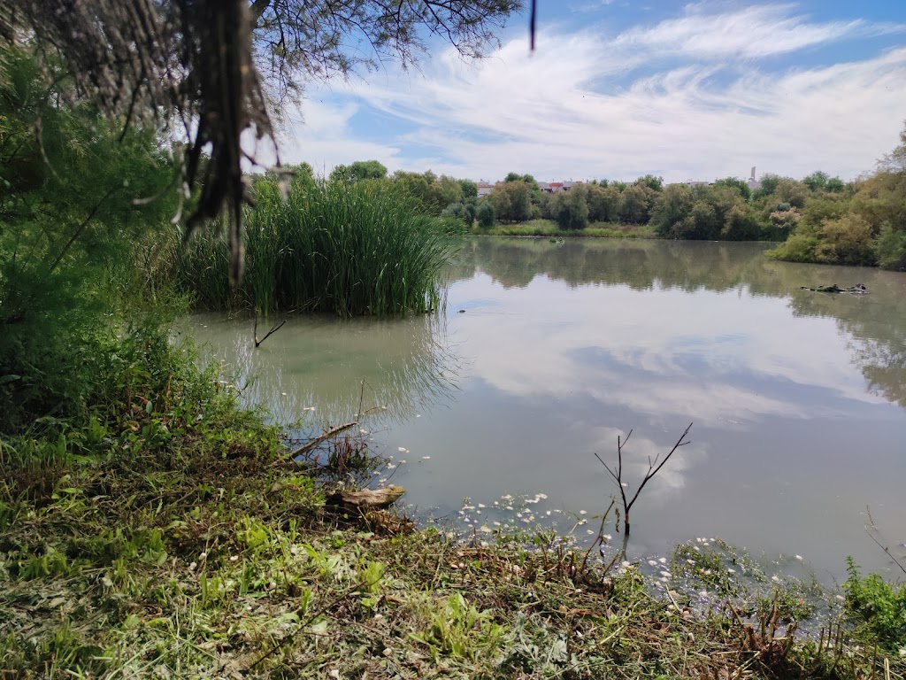 Laguna de Fuente del Rey