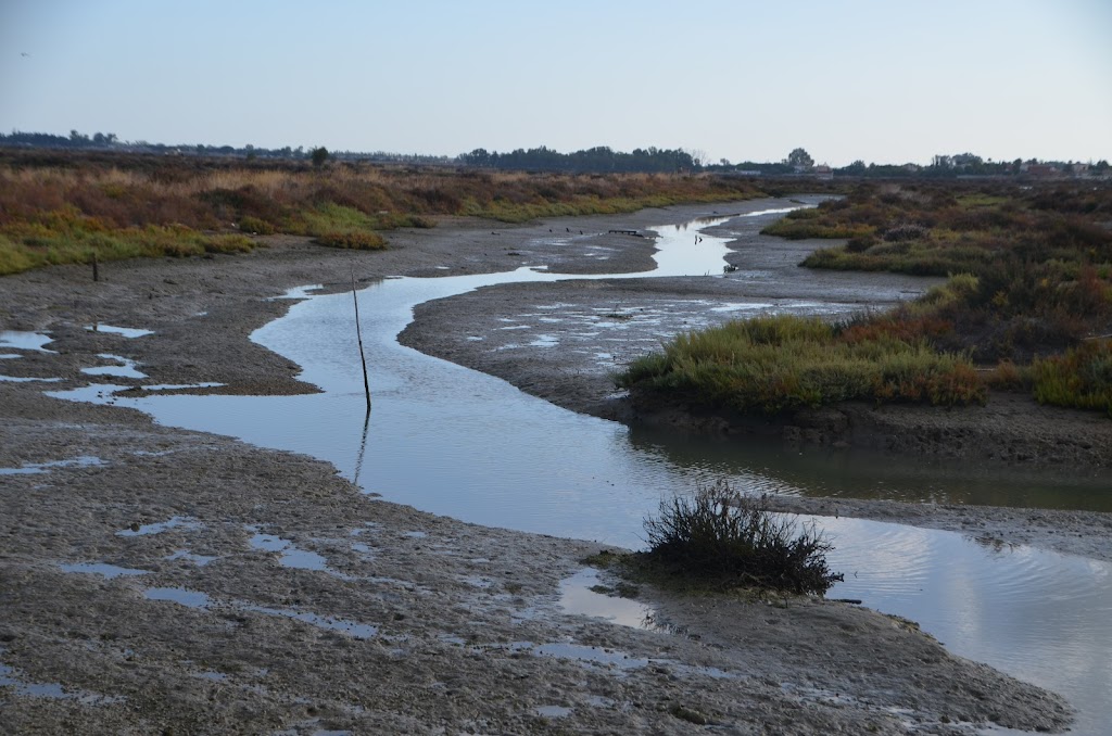 Sendero Salina Carboneros