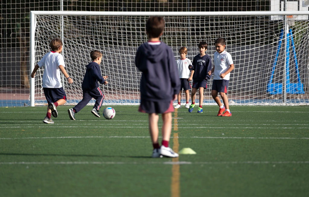 Aquinas American School - PreK-8 Campus — Del propietario