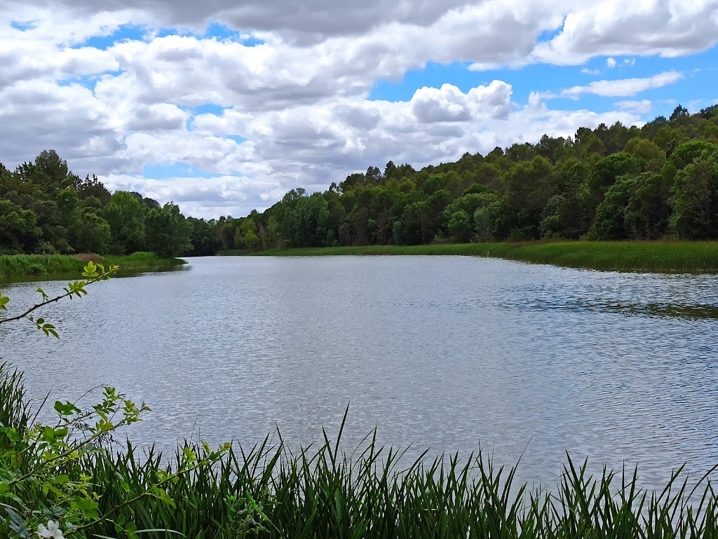 Embalse del Rio Bajoz