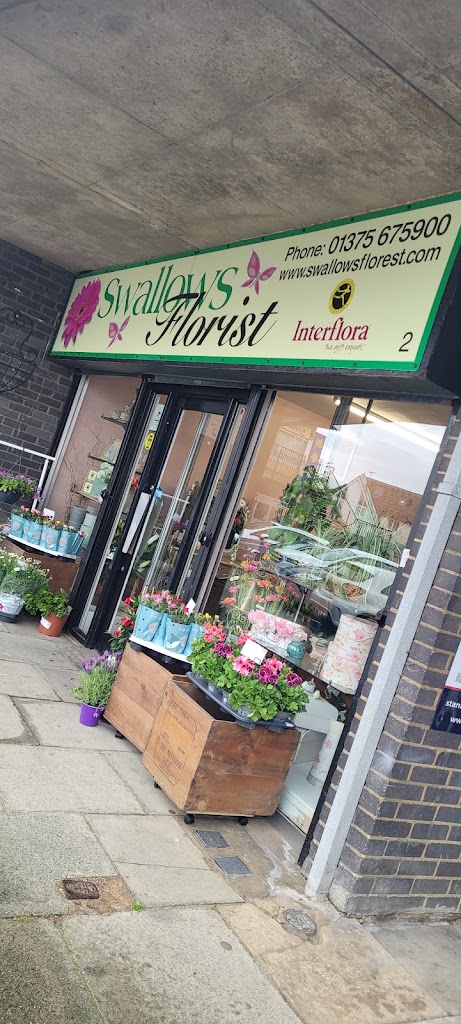 Swallows Florist