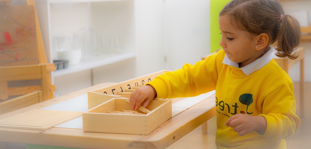 CEI Tree Montessori School — Del propietario