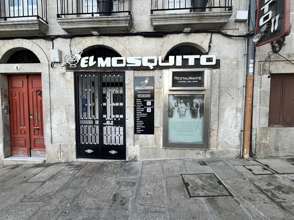 El Mosquito vigo