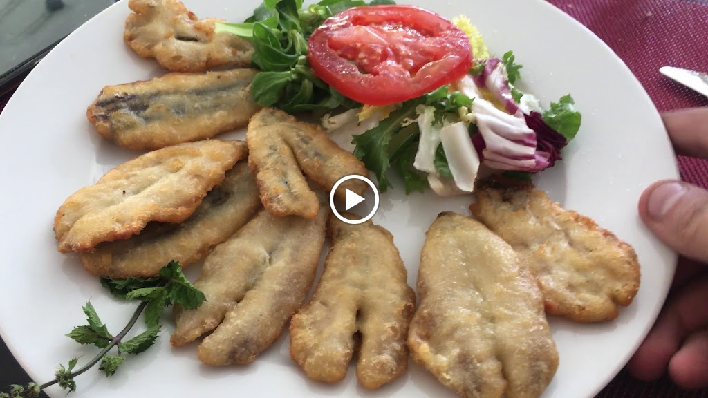 Restaurante Cerveceria Rey de Tapas — Videos