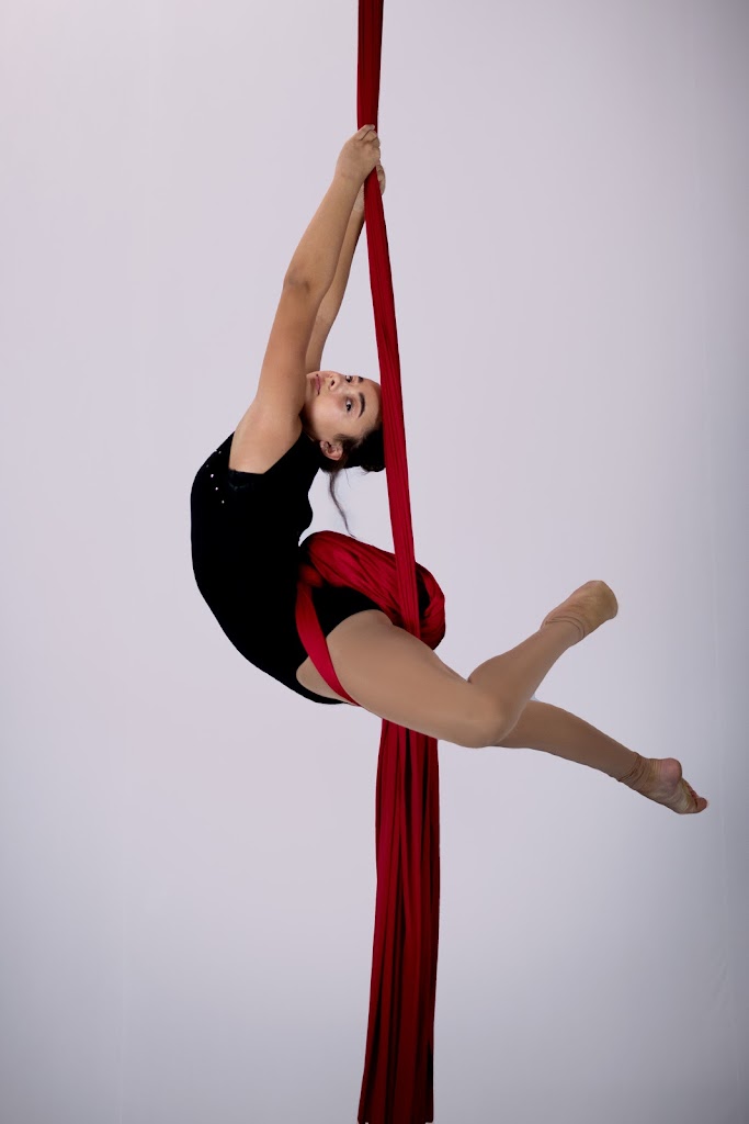  On Edge Aerial Dance