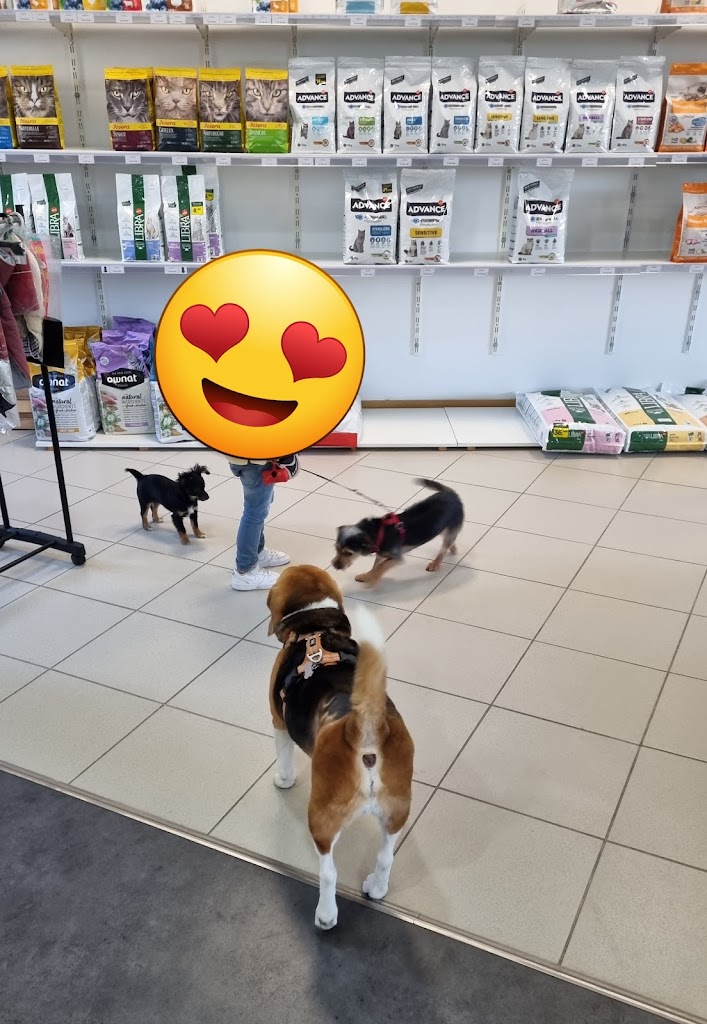 Foto da avaliação