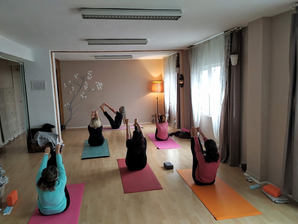Centro yoga Pramana — Del propietario