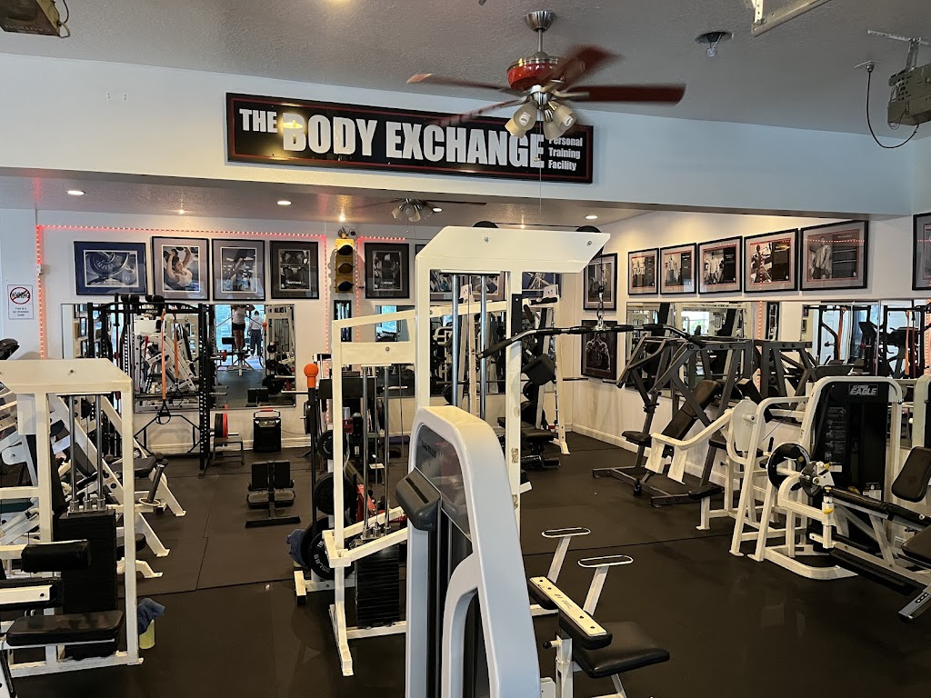  The Body Exchange