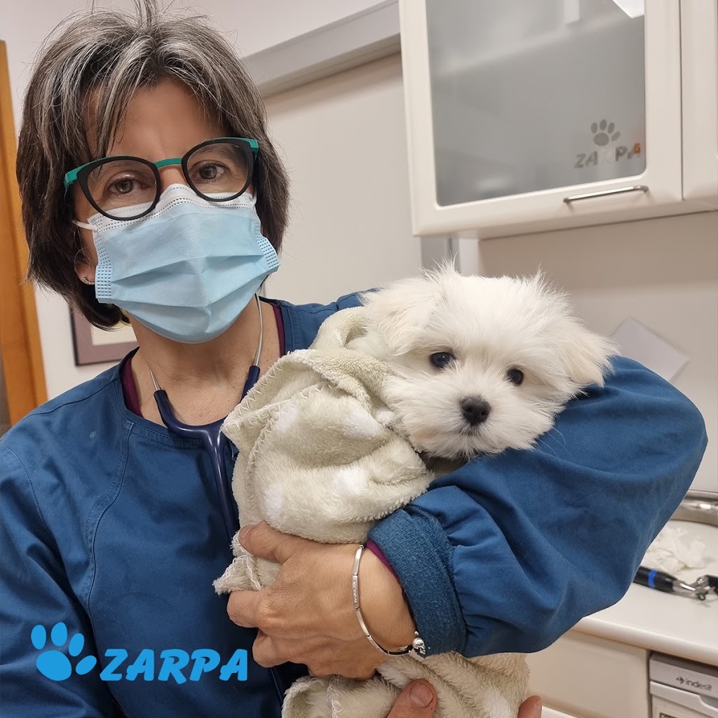 Clinica Veterinaria Zarpa — Del propietario