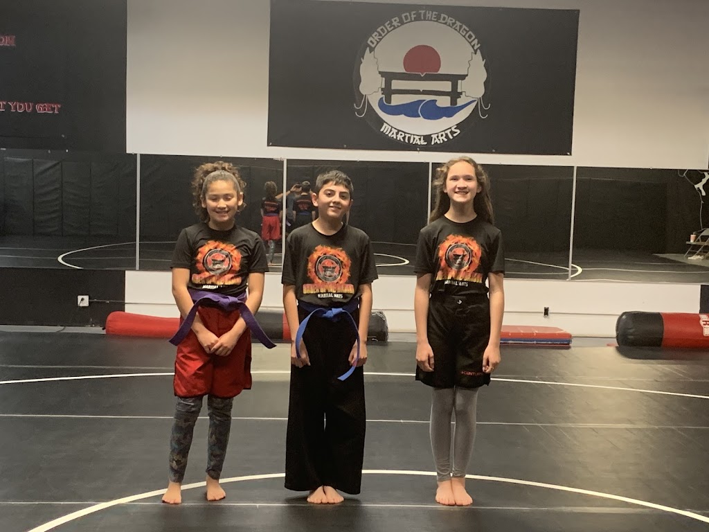  Order Of The Dragon Martial Arts