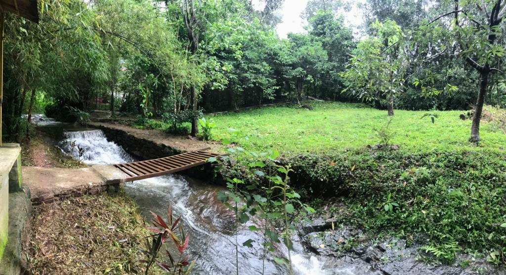 Waterfall