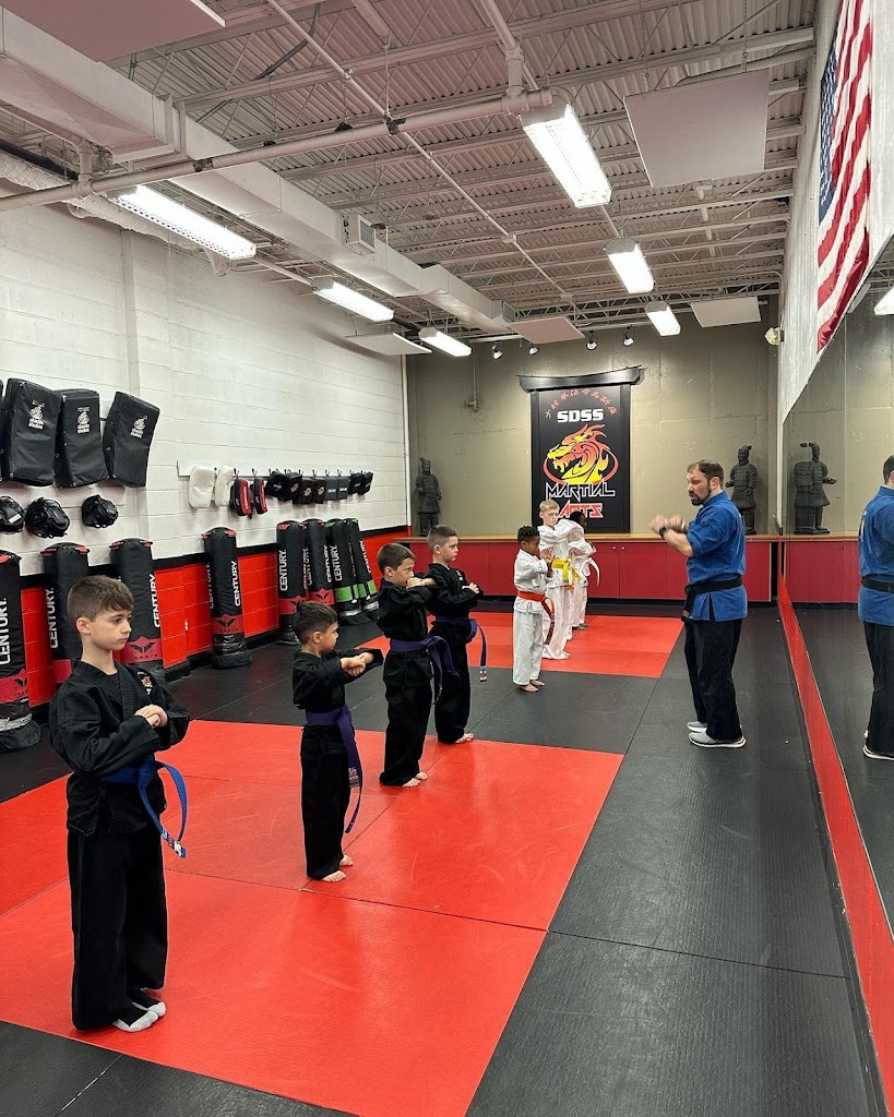  SDSS Martial Arts of Fairfield