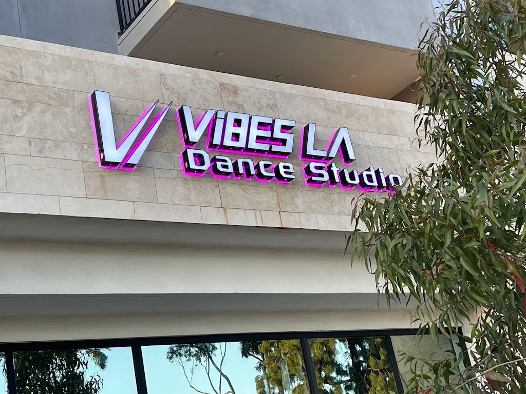 Vibes LA Dance Studio