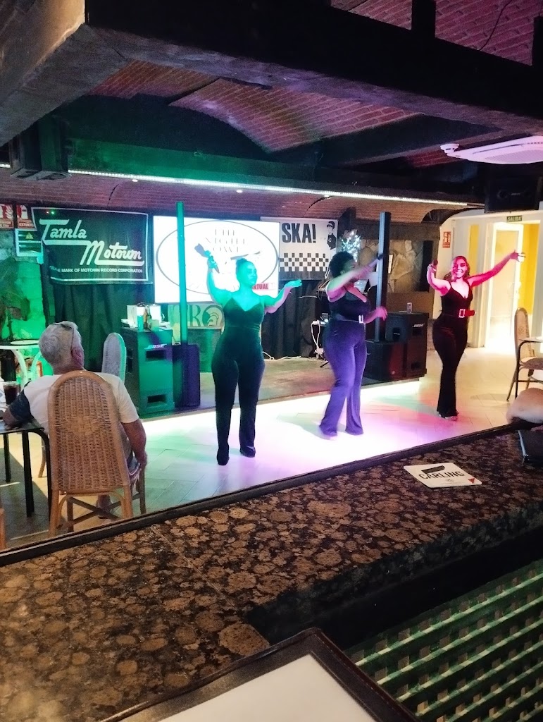 The Night Owl Tenerife