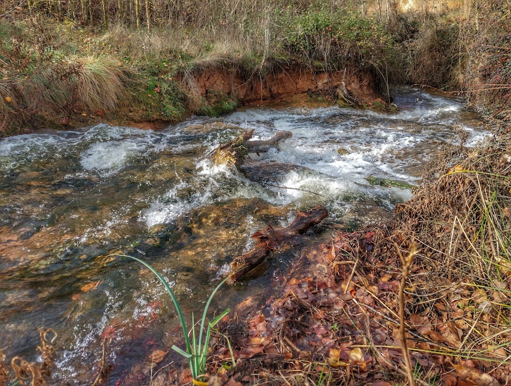 Parque Maria Pacheco