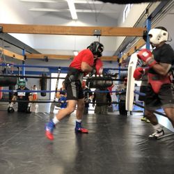  All World Boxing Club