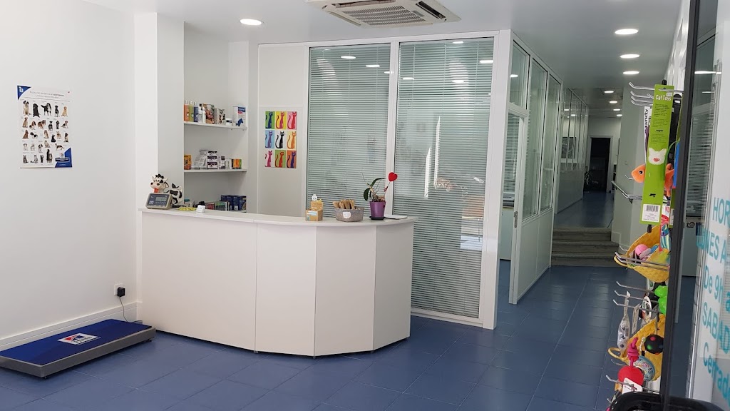 Clinica Veterinaria Bidarte - Deustu