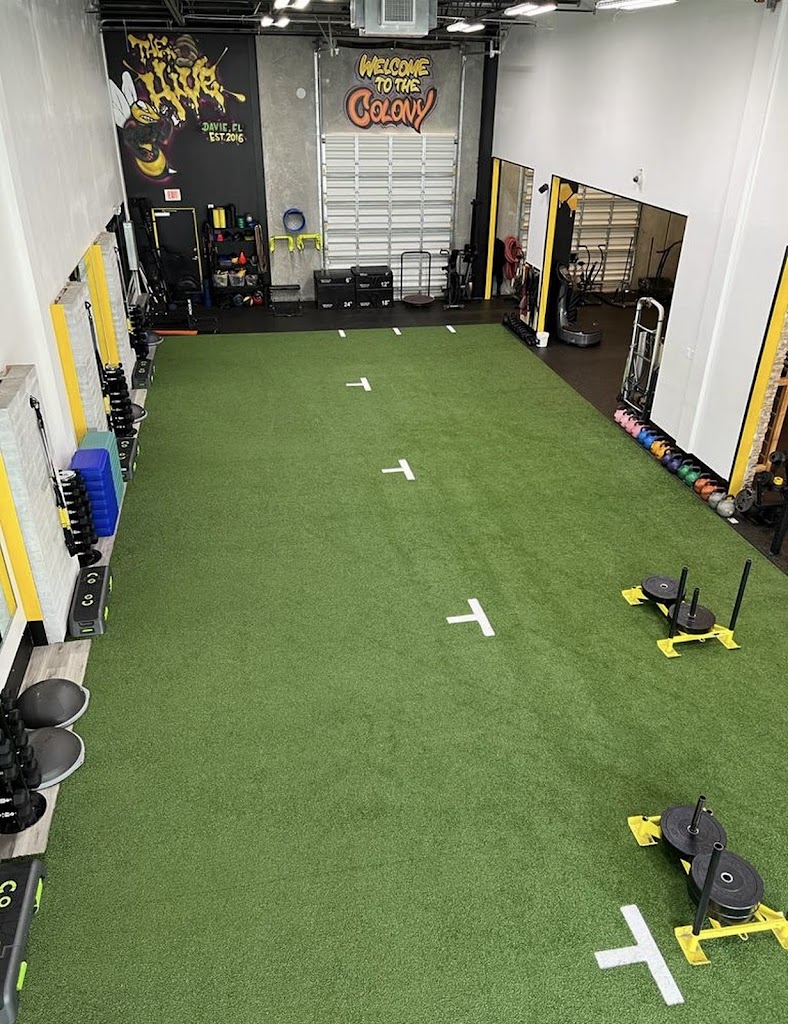  Intuitive Health Guide (Prenatal Fitness & Nutrition Coach)