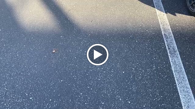  Hoops Bootcamp & Fitness