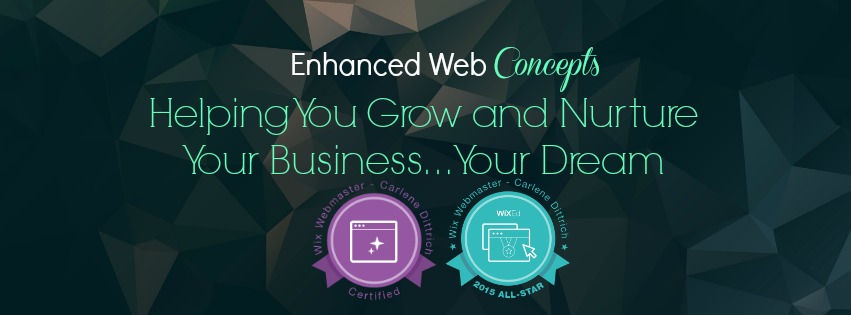 Enhanced Web Concepts