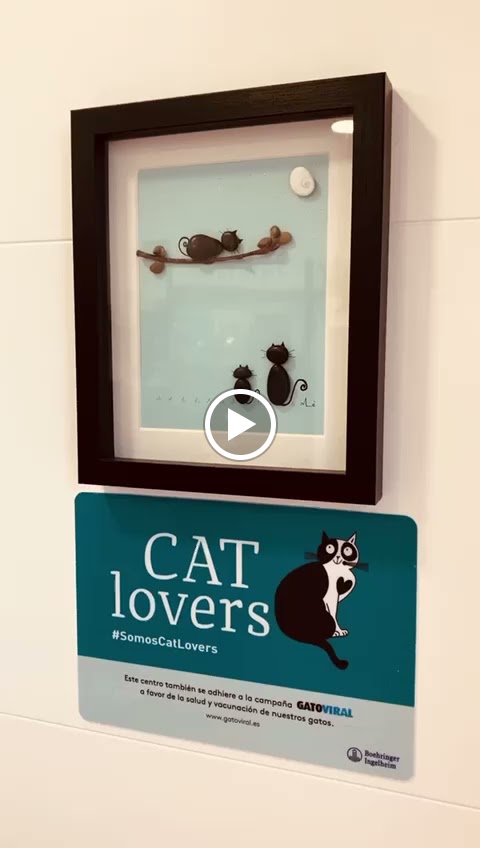 Clinica Veterinaria SANTA ICIA — Del propietario