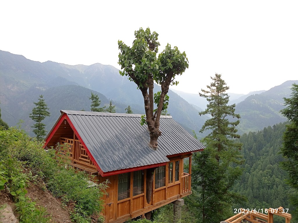 The Dream Nest Treehouse Homestay