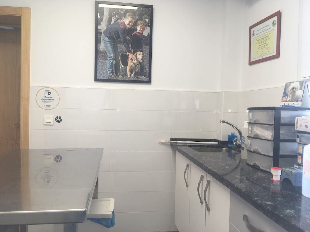 Clinica Veterinaria Juan Manuel Cabo — Del propietario