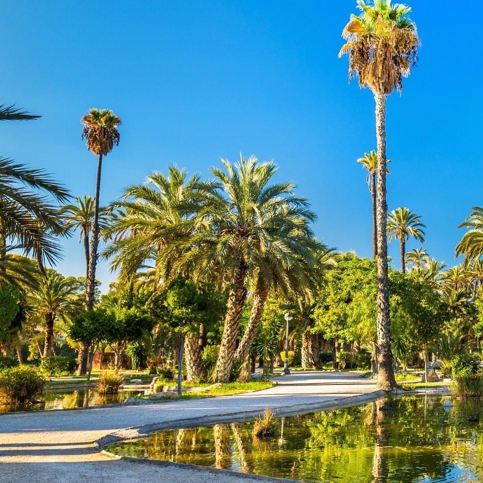 El Palmeral de Elche
