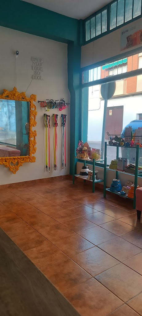 PERREO ESTETICA CANINA