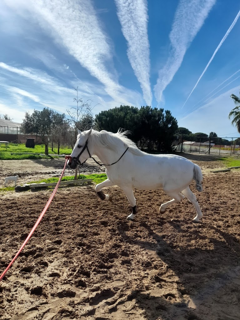 Club Hipico La Alegria - Rocio Benitez