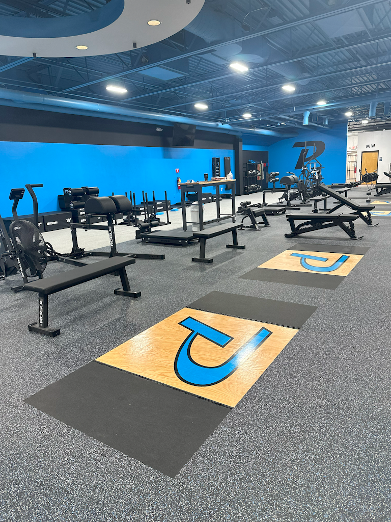  Phyx Performance Troy