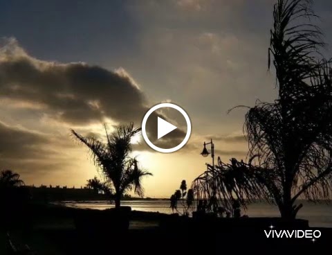 Reale Seguros — Videos