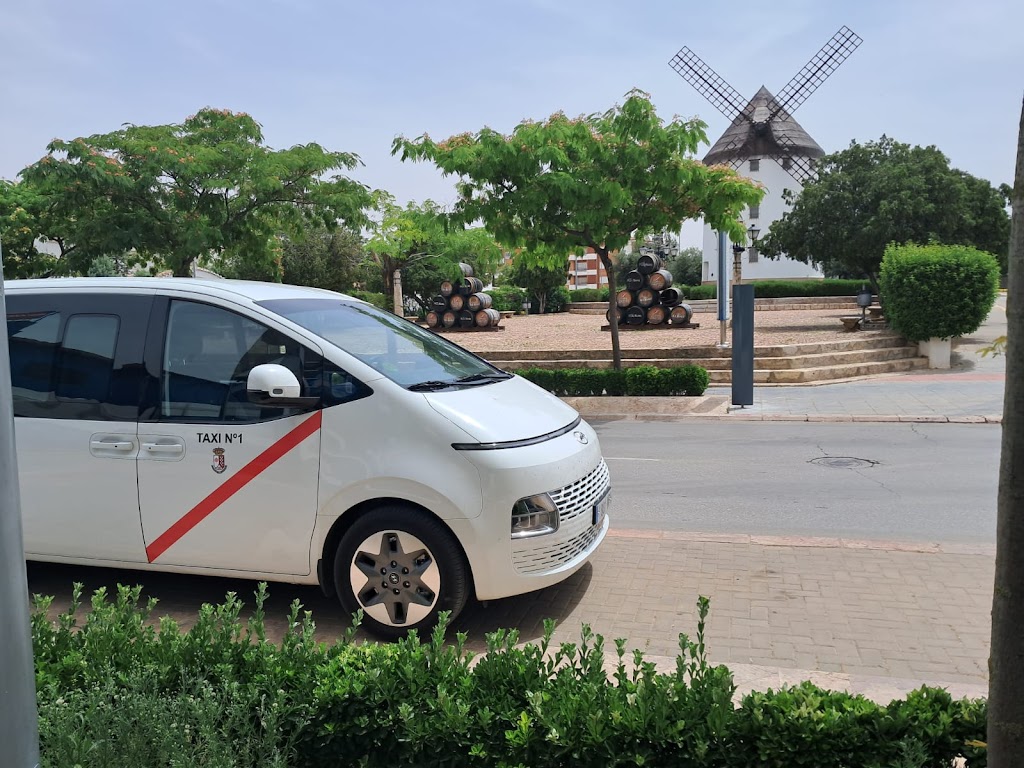 Taxi Valdepenas Gabriel Alhambra 9 plazas