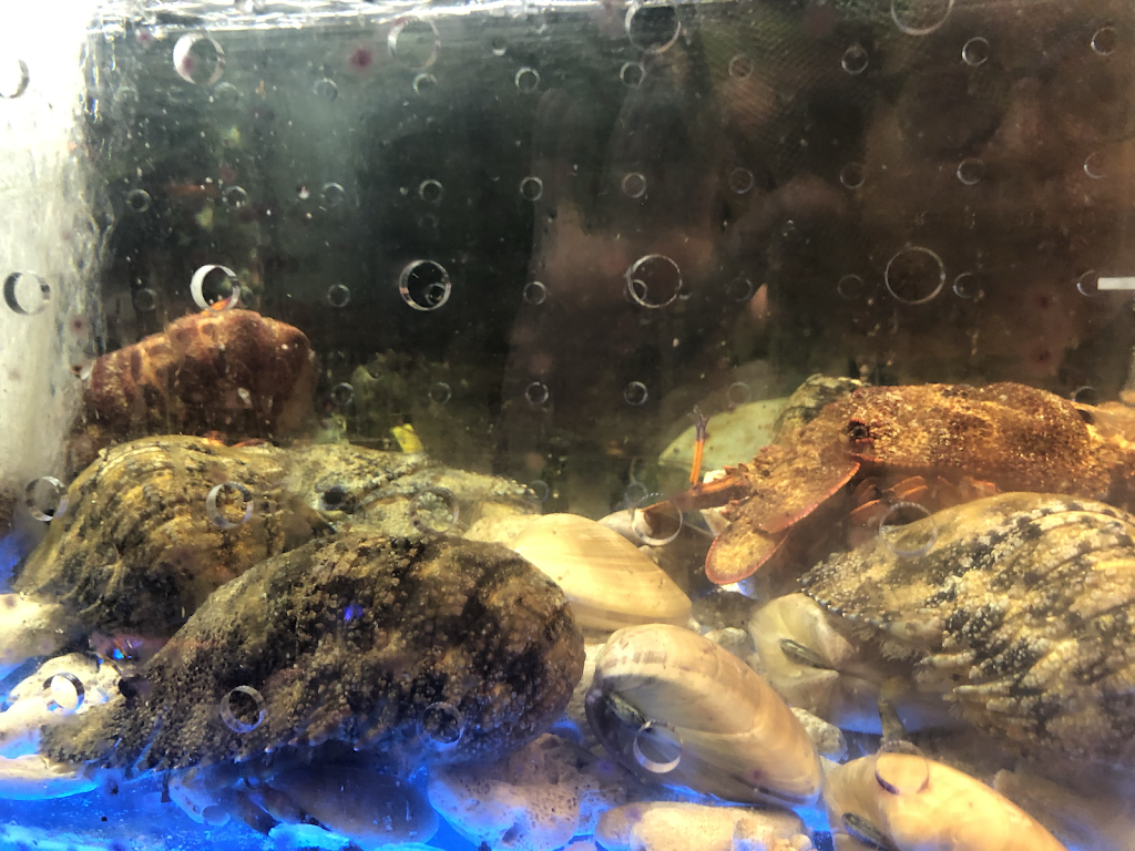 六合極品海鮮鍋物專門店 的照片