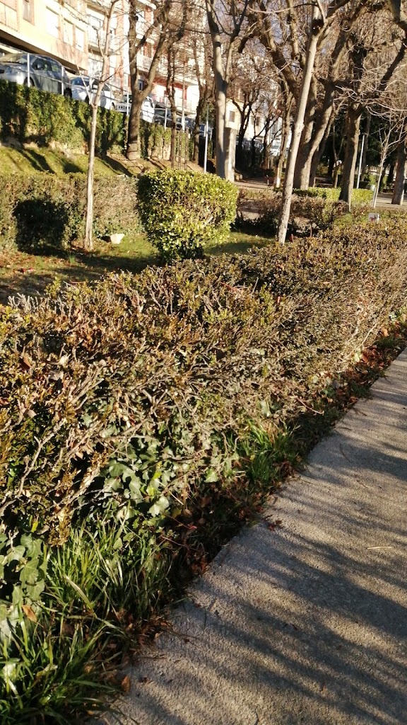 Parque de los Soldados