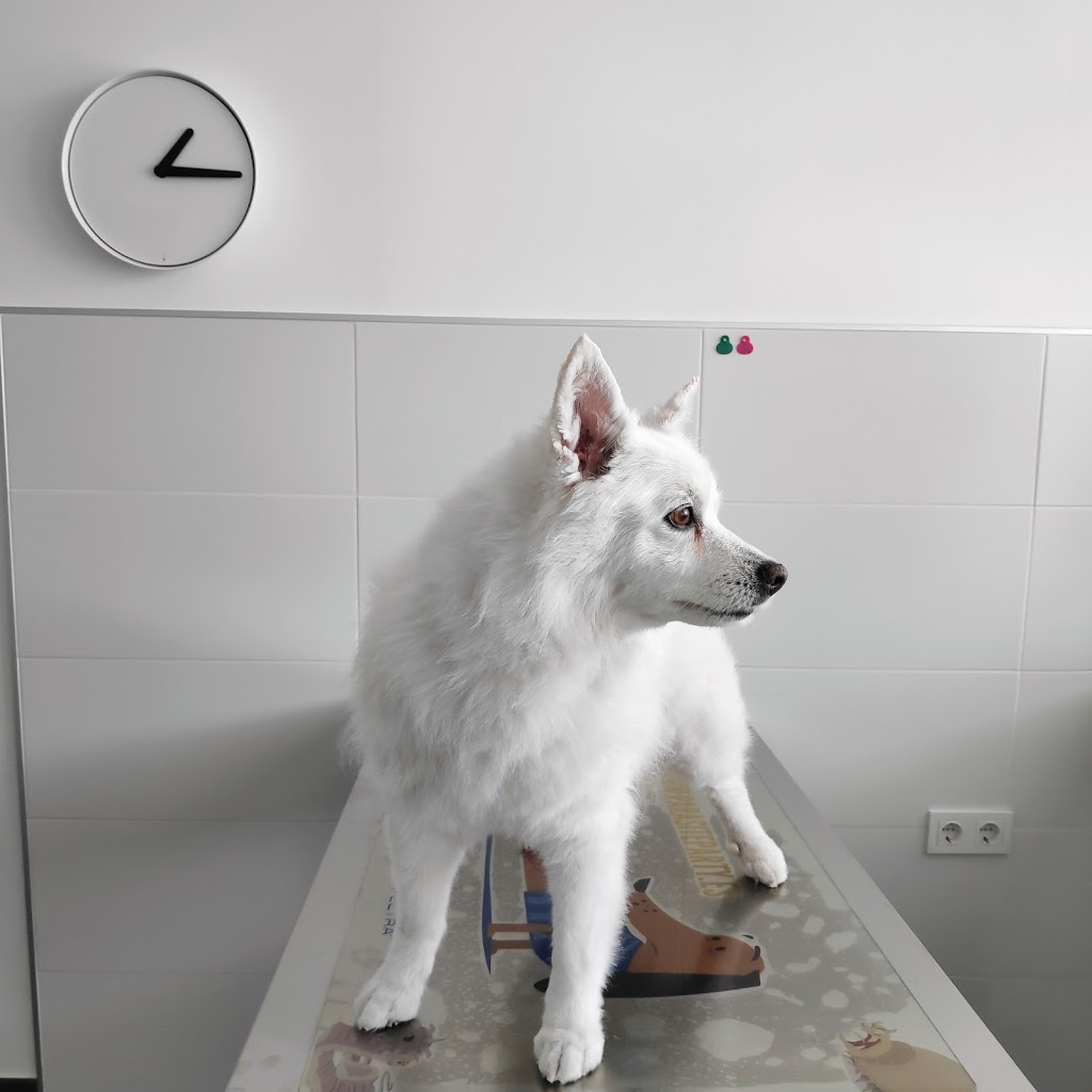 Clinica Veterinaria La Laguna — Del propietario