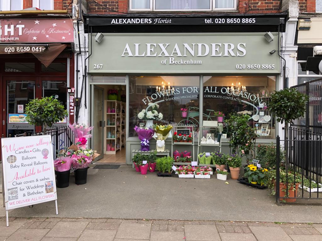 Alexanders